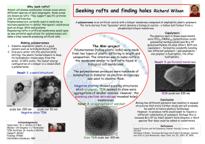 Seeking rafts and finding holes Richard Wilson