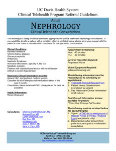 Nephrology Adult Clinical Telehealth Consultations