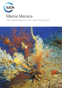 Marine Menace Alien invasive species in the marine environment