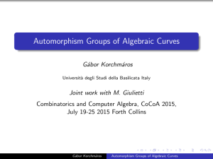 Automorphism Groups of Algebraic Curves