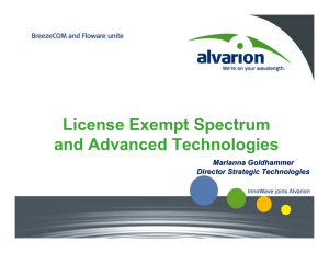 License Exempt Spectrum and Advanced Technologies Marianna Goldhammer Director Strategic Technologies