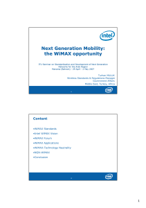 Next Generation Mobility: the WiMAX opportunity