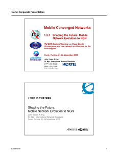 Mobile Converged Networks 1.3.1  Shaping the Future: Mobile Nortel Corporate Presentation