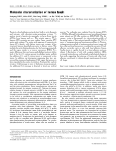 Molecular characterization of human tensin Huaiyang CHEN*, Akiko ISHII*, Wai-Keung WONG 403
