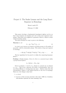 Project 3: The Snake Lemma and the Long Exact