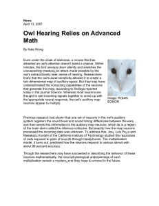 Owl Hearing Relies on Advanced Math