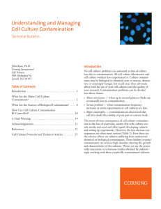 Understanding and Managing Cell Culture Contamination Technical Bulletin Introduction