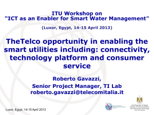 TheTelco opportunity in enabling the smart utilities including: connectivity,