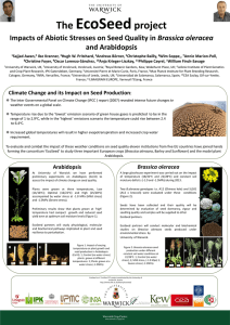EcoSeed The project Brassica