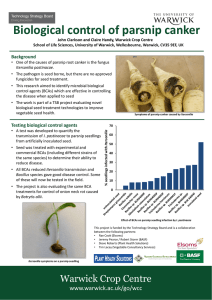 Biological control of parsnip canker