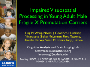 Impaired Visuospatial Processing in Young Adult Male Fragile X Premutation Carriers