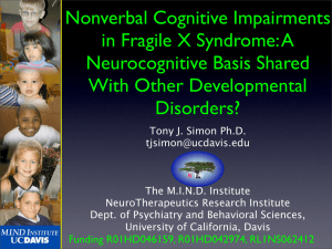 Nonverbal Cognitive Impairments in Fragile X Syndrome: A Neurocognitive Basis Shared