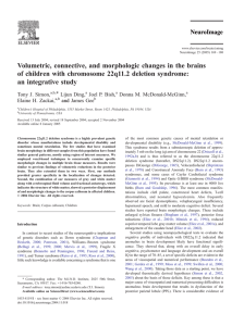 Volumetric, connective, and morphologic changes in the brains