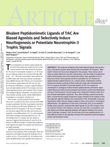 Bivalent Peptidomimetic Ligands of TrkC Are Biased Agonists and Selectively Induce