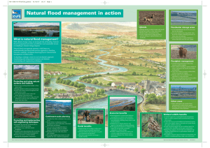 Natural flood management in action Uplands