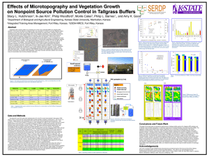Effects of Microtopography and Vegetation Growth