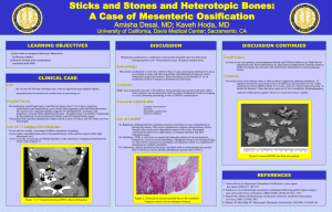 Sticks and Stones and Heterotopic Bones: A Case of Mesenteric Ossification