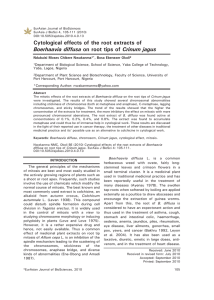 Cytological effects of the root extracts of Boerhaavia diffusa