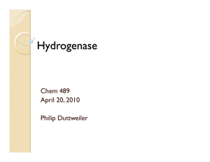 Hydrogenase Chem 489 April 20, 2010 Philip Duttweiler