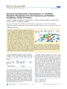 ‑Histidinol Structural and Mechanistic Characterization of