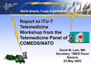 Report to ITU-T Telemedicine Workshop from the Telemedicine Panel of