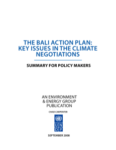 the bali action plan: key issues in the climate negotiations