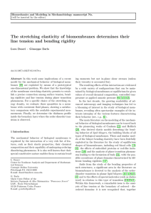 The stretching elasticity of biomembranes determines their