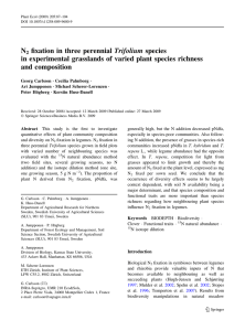 N fixation in three perennial Trifolium species