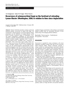 Abstract corrhizal fungus community in this primary successional