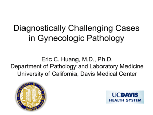Diagnostically Challenging Cases in Gynecologic Pathology