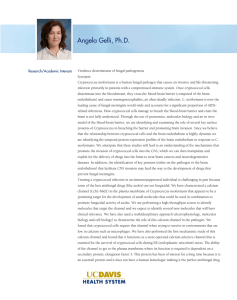 Angela Gelli, Ph.D.