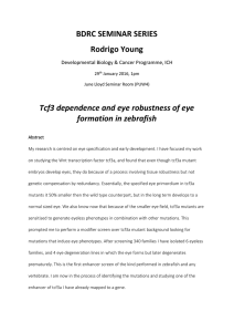 BDRC SEMINAR SERIES Rodrigo Young Tcf3 dependence and eye robustness of eye