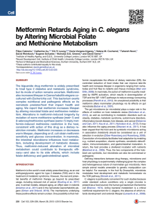 Metformin Retards Aging in C. elegans by Altering Microbial Folate
