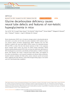 Glycine decarboxylase deﬁciency causes neural tube defects and features of non-ketotic