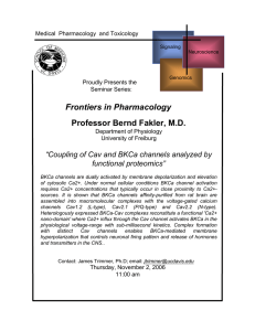 Frontiers in Pharmacology Professor Bernd Fakler, M.D.