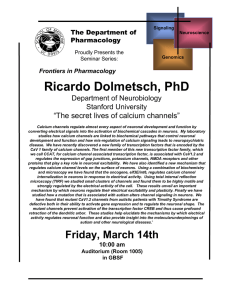 Ricardo Dolmetsch, PhD “The secret lives of calcium channels” Department of Neurobiology