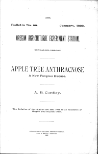 APPLE TREE AXTHRACNOSE A. lB. Cordley. Dulletin Nb. 60. January, 1900.