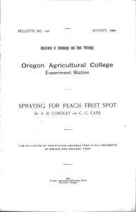 Oregon Agricultural College SPRAYING FOR PEACH FRUIT SPOT Experiment Station