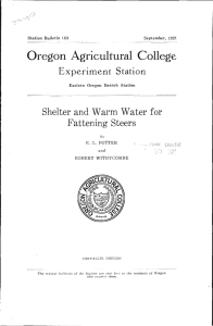Oregon Agricultural College Experiment Station Shefter and Warm Water for Fattening Steers