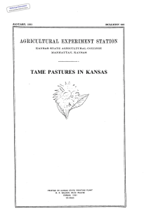 TAME  PASTURES  IN  KANSAS Historical Document