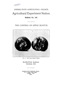 THE CONTROL OF APPLE BLOTCH. Historical Document Kansas Agricultural Experiment Station