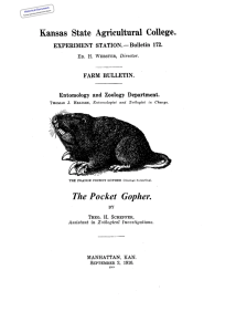 The Pocket  Gopher. Historical Document Kansas Agricultural Experiment Station