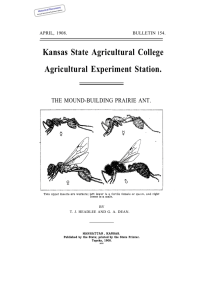 Kansas State Agricultural College Agricultural Experiment Station. THE MOUND-BUILDING PRAIRIE ANT.