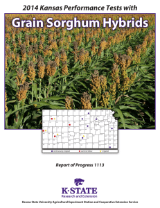Grain Sorghum Hybrids 2014 Kansas Performance Tests with Report of Progress 1113