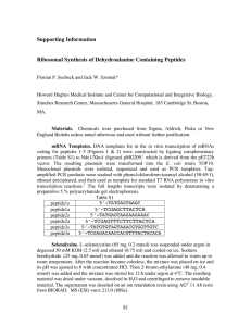 Supporting Information Ribosomal Synthesis of Dehydroalanine Containing Peptides