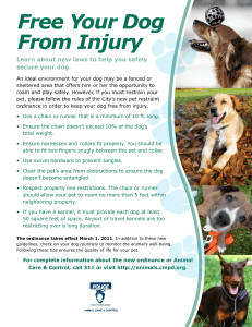 Free Your Dog From Injury secure your dog.