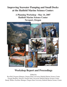 Improving Seawater Pumping and Small Docks Workshop Report and Proceedings