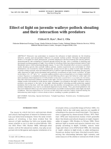 l Effect of  light on juvenile walleye pollock shoaling Clifford