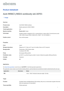 Anti-WHSC1/NSD2 antibody ab130701 Product datasheet 1 Image Overview