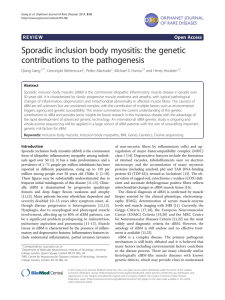 Sporadic inclusion body myositis: the genetic contributions to the pathogenesis Open Access